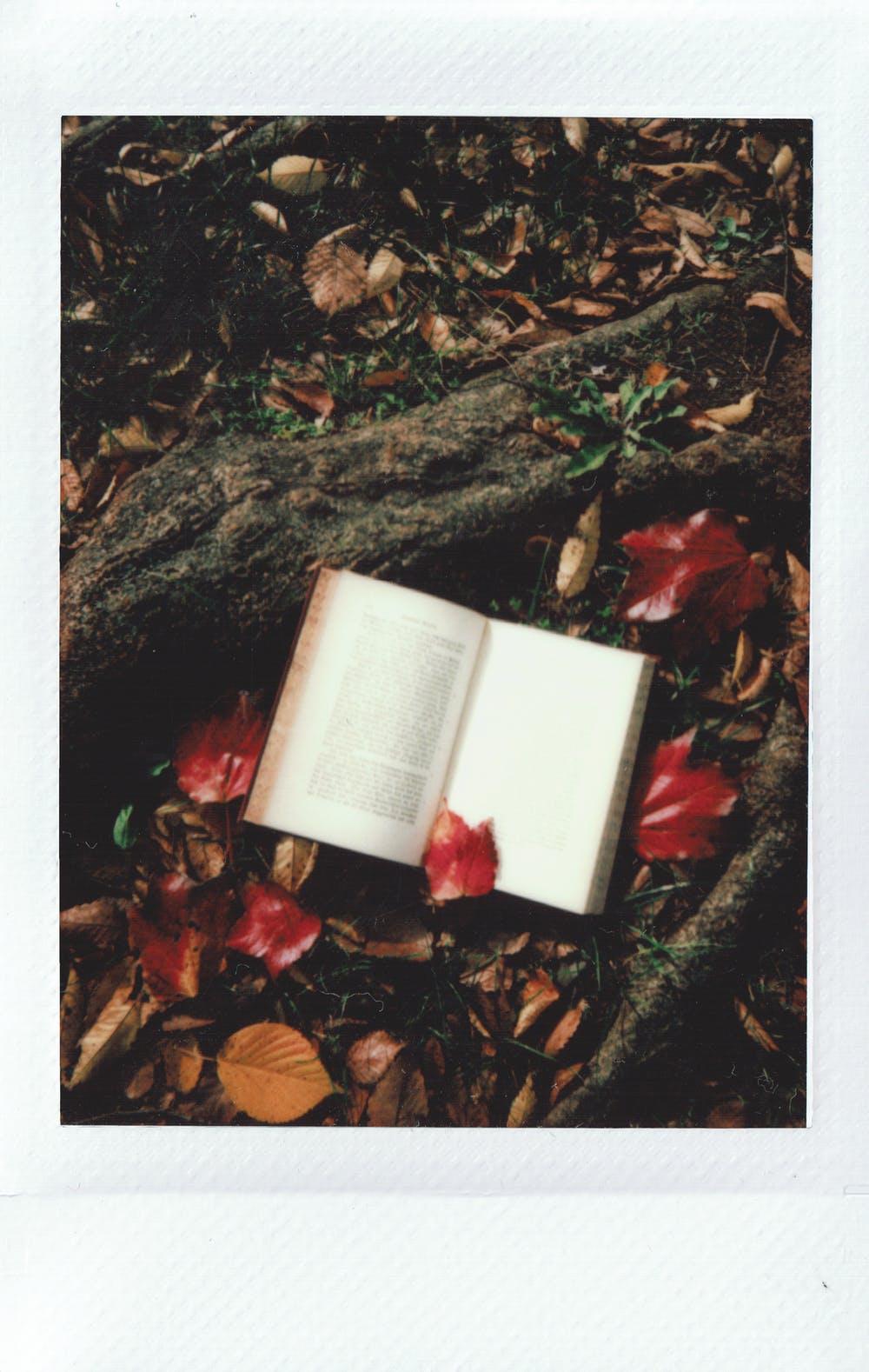Bahas Buku